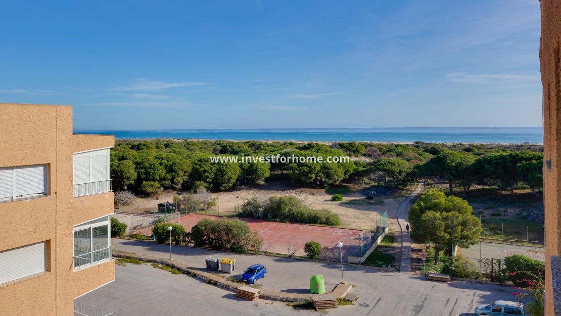 Sale - Apartment - Guardamar del Segura - Pinomar