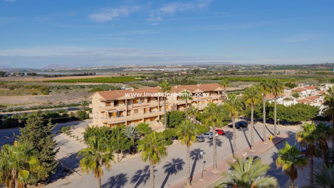 Sale - Apartment - Guardamar del Segura - Pinomar