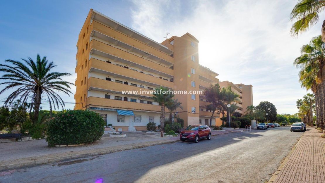 Sale - Apartment - Guardamar del Segura - Pinomar