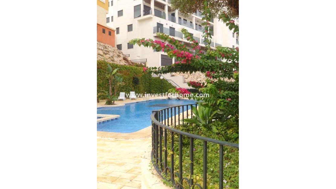 Sale - Apartment - Orihuela Costa - Altos De Campoamor