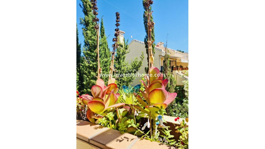 Sale - Apartment - Orihuela Costa - Costa Blanca