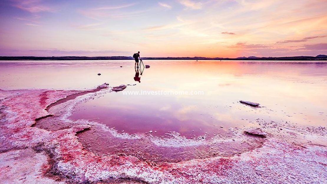 Sale - Apartment - Orihuela Costa - Costa Blanca