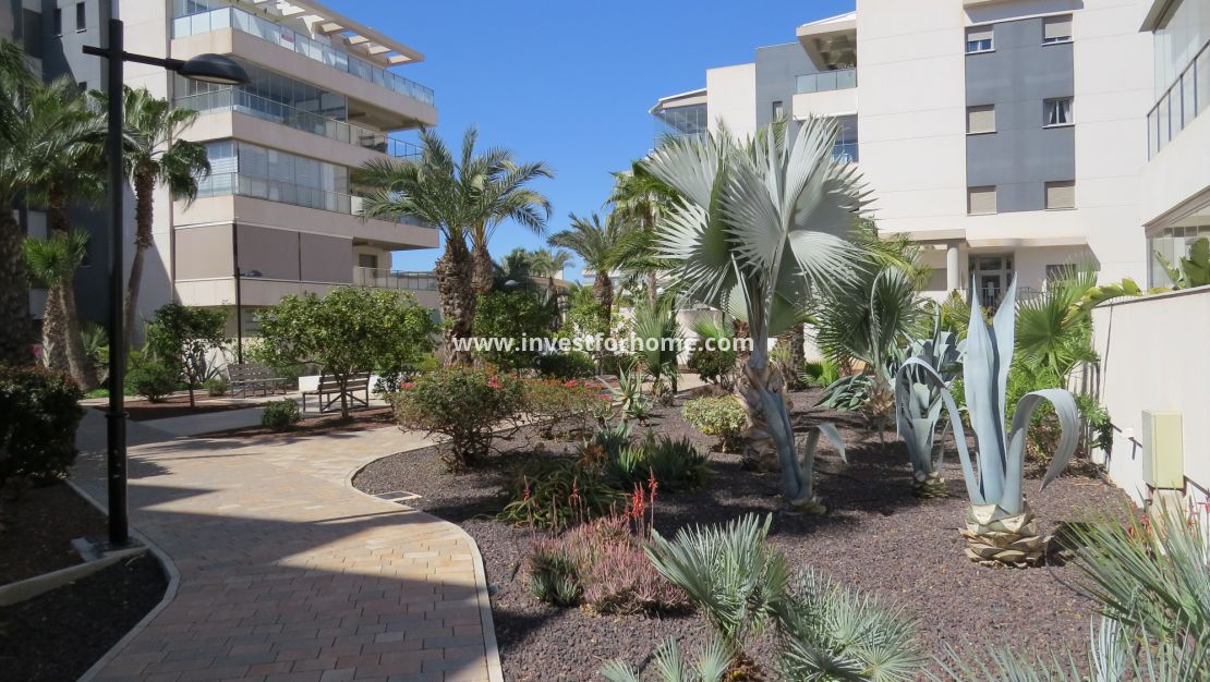 Sale - Apartment - Orihuela Costa - Costa Blanca