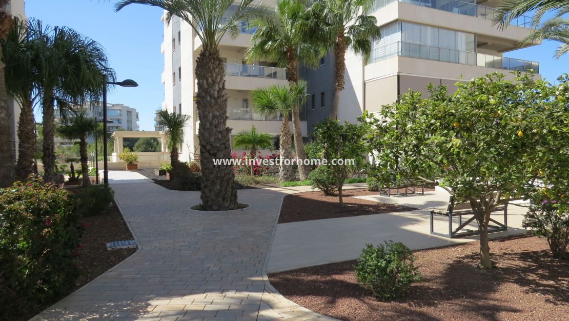 Sale - Apartment - Orihuela Costa - Costa Blanca