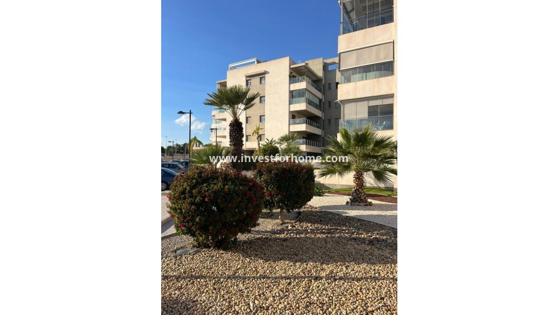 Sale - Apartment - Orihuela Costa - Inland