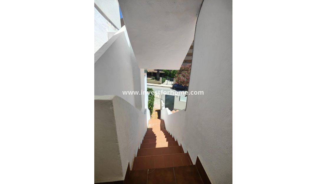 Sale - Apartment - Orihuela Costa - La Zenia