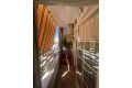 Sale - Apartment - Orihuela Costa - Los Andenes