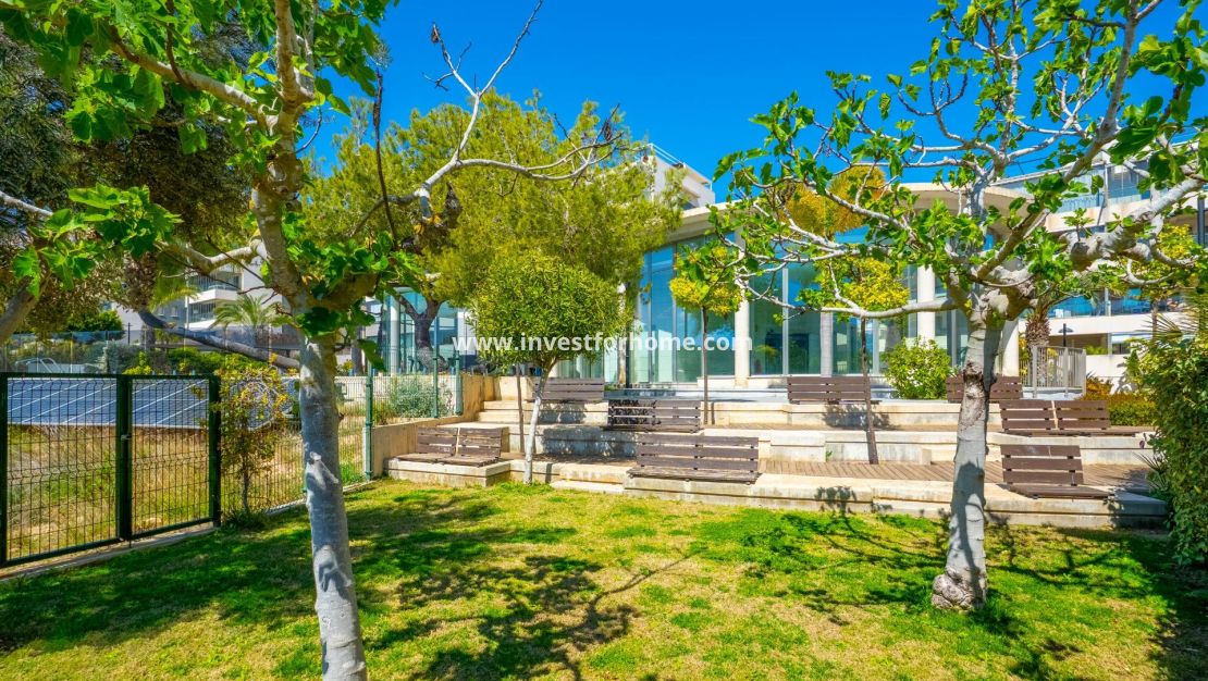 Sale - Apartment - Orihuela Costa - Los Dolses