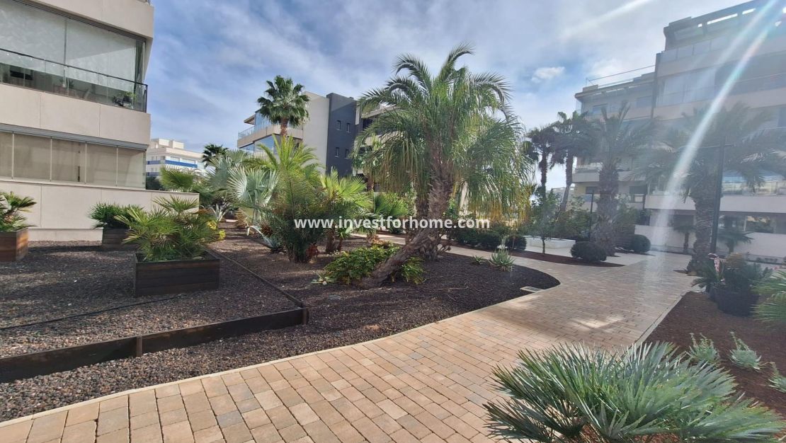 Sale - Apartment - Orihuela Costa - Los Dolses