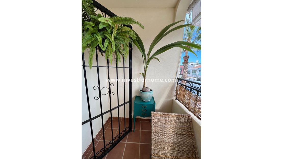 Sale - Apartment - Orihuela Costa - Playa Flamenca