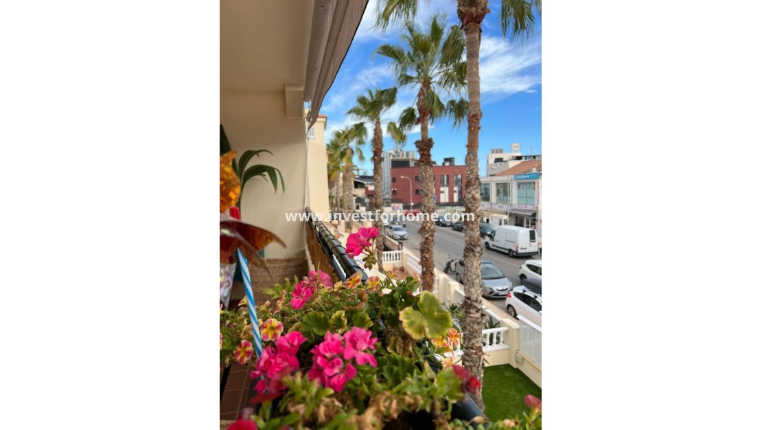 Sale - Apartment - Orihuela Costa - Playa Flamenca