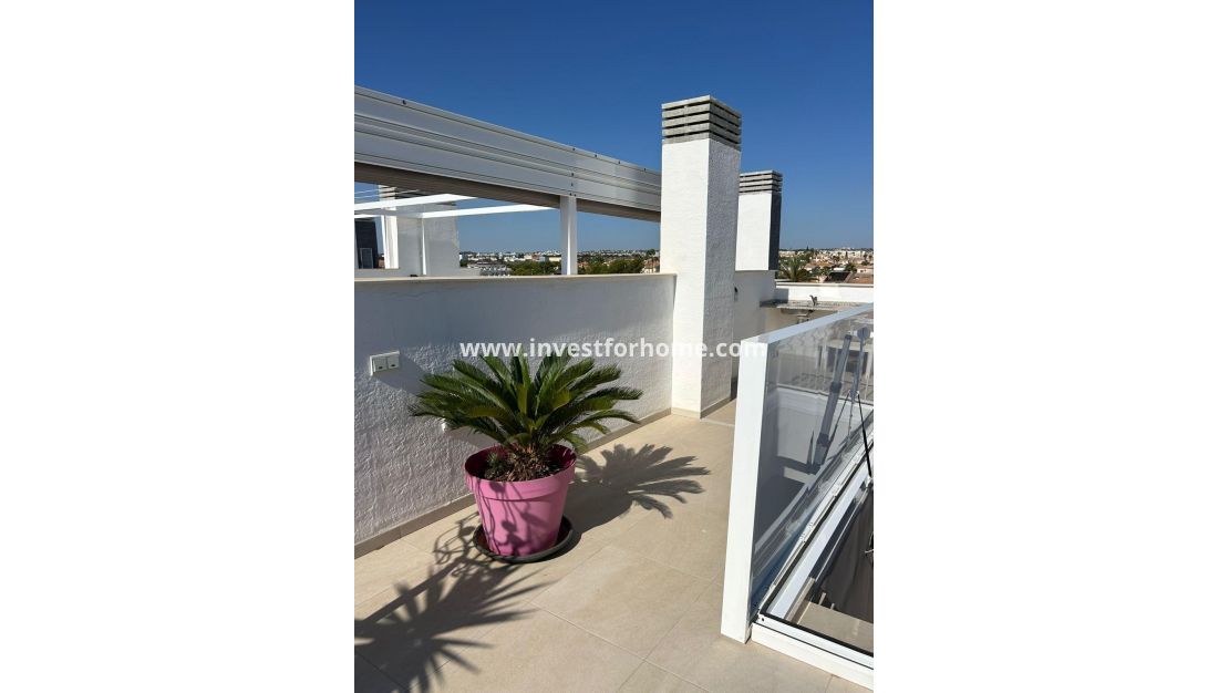 Sale - Apartment - Orihuela Costa - Playa Flamenca
