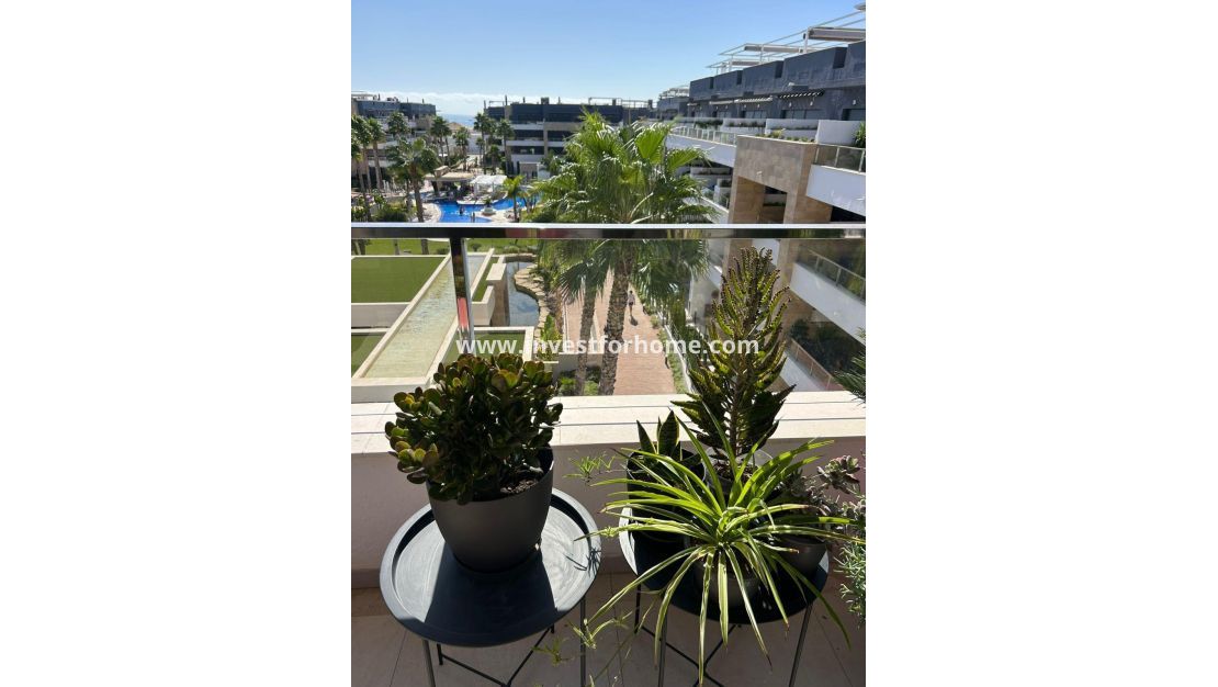 Sale - Apartment - Orihuela Costa - Playa Flamenca