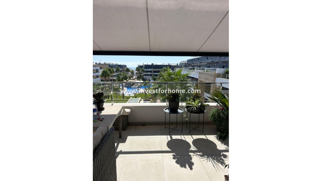 Sale - Apartment - Orihuela Costa - Playa Flamenca