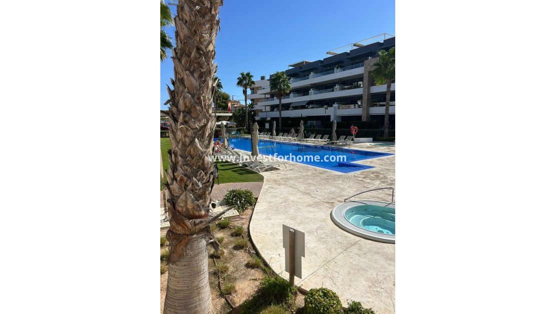 Sale - Apartment - Orihuela Costa - Playa Flamenca