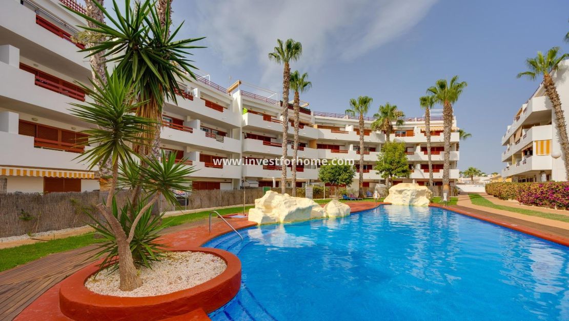 Sale - Apartment - Orihuela Costa - Playa Flamenca