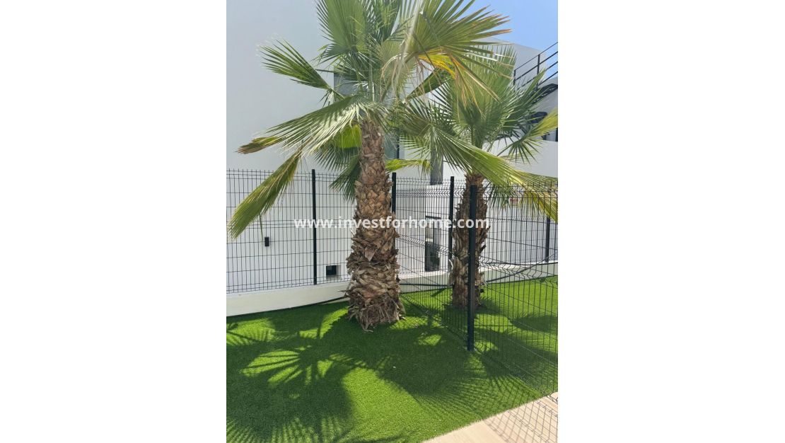 Sale - Apartment - Orihuela Costa - Rocio Del Mar