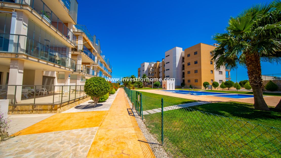 Sale - Apartment - Orihuela Costa - Villamartín