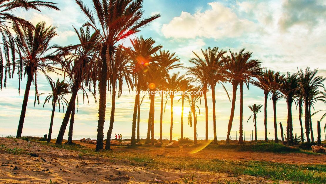 Sale - Apartment - Orihuela Costa