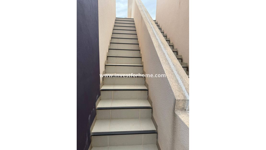 Sale - Apartment - Pilar de la Horadada - La Torre de La Horadada