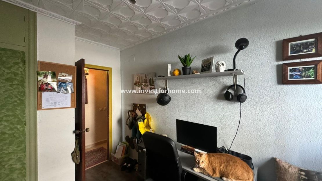 Sale - Apartment - San Miguel de Salinas - Balcon De San Miguel