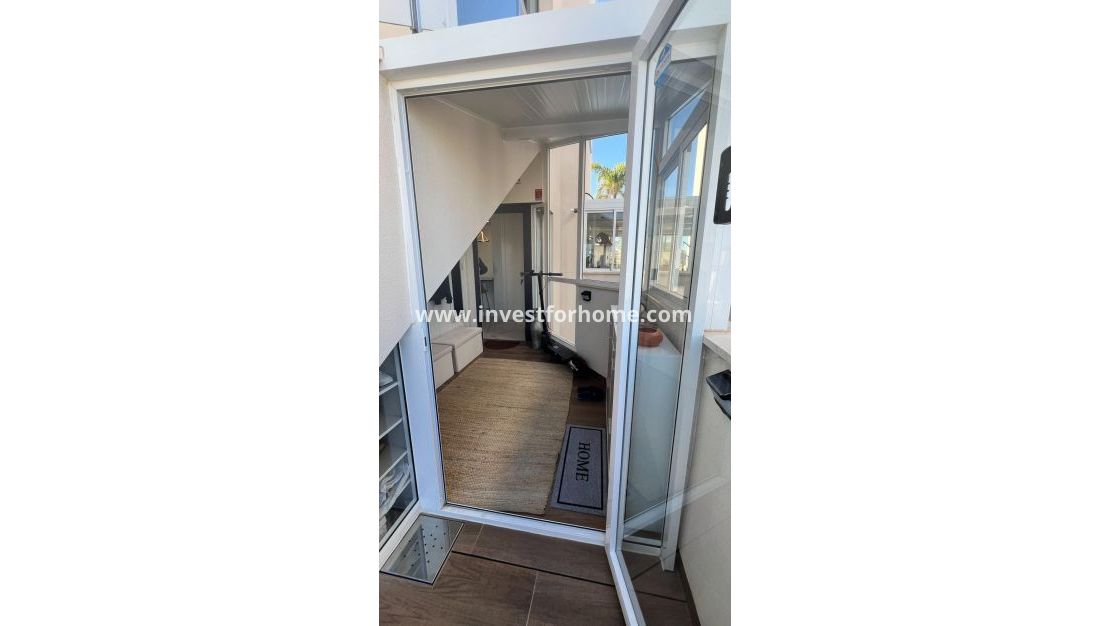 Sale - Apartment - San Miguel de Salinas - Bellavista