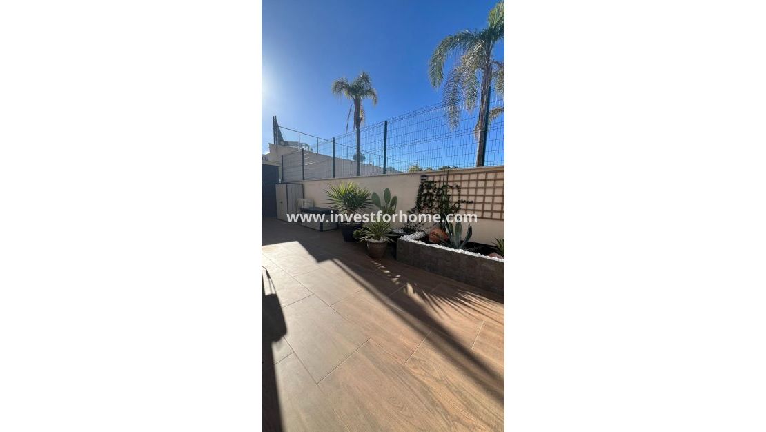 Sale - Apartment - San Miguel de Salinas - Bellavista