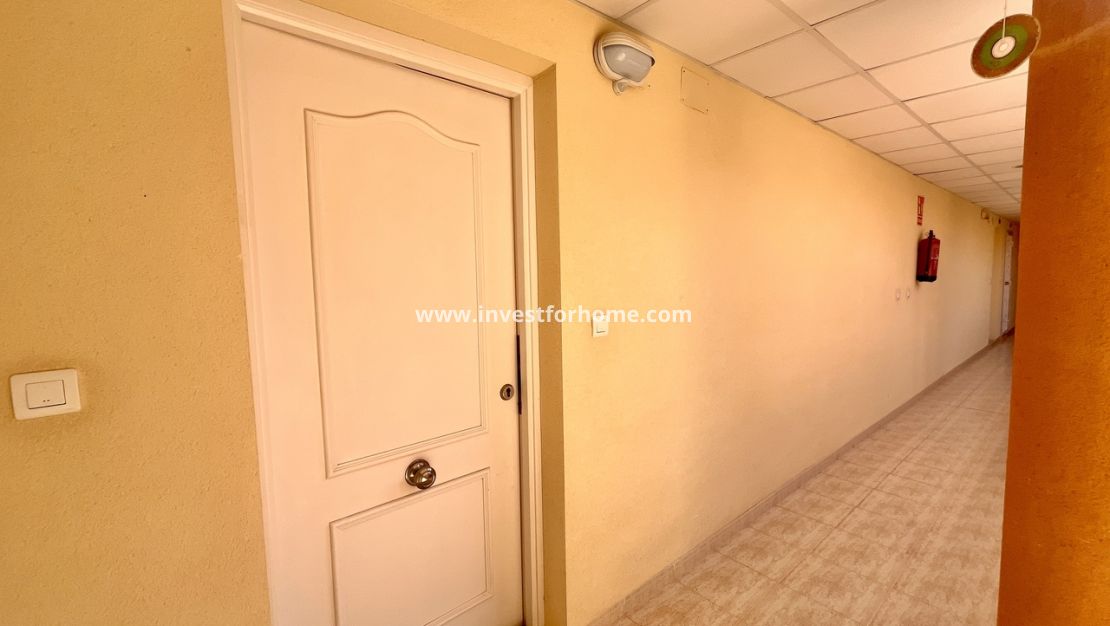 Sale - Apartment - San Miguel de Salinas - Inland