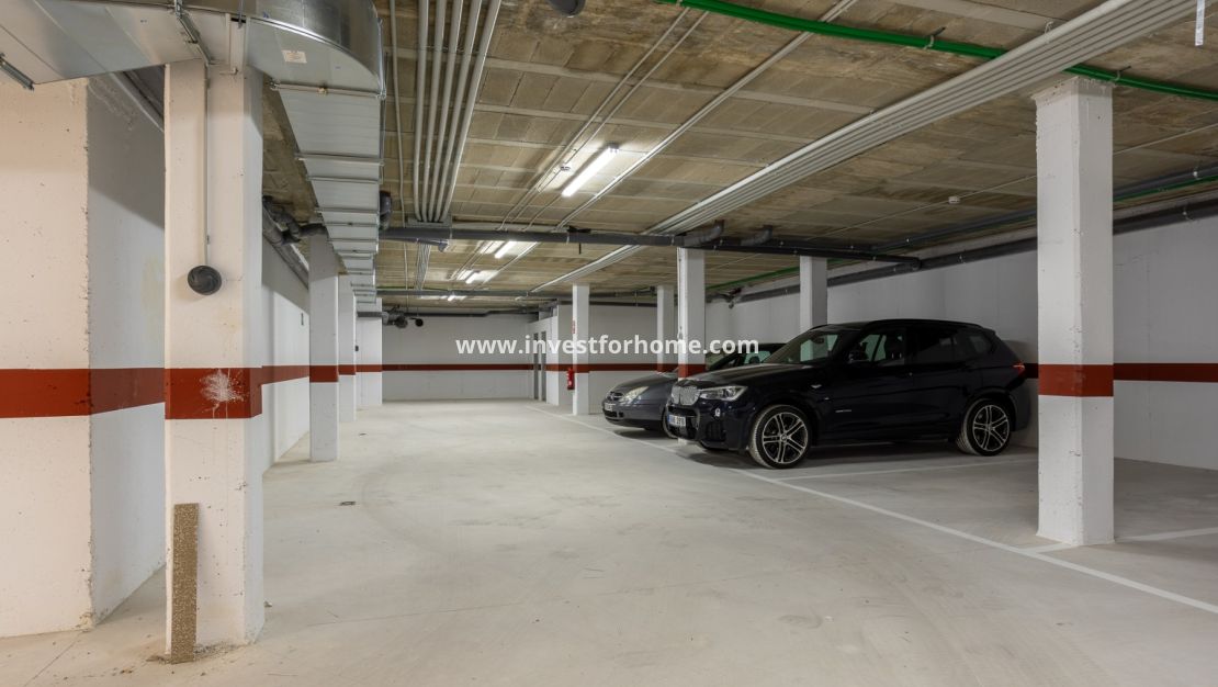 Sale - Apartment - San Miguel de Salinas - Inland