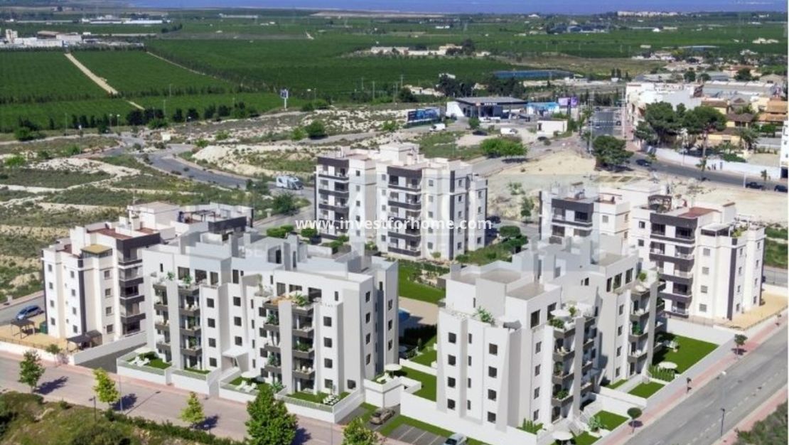 Sale - Apartment - San Miguel de Salinas - Inland