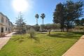 Sale - Apartment - San Miguel de Salinas - Inland
