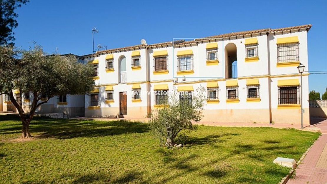 Sale - Apartment - San Miguel de Salinas - Inland