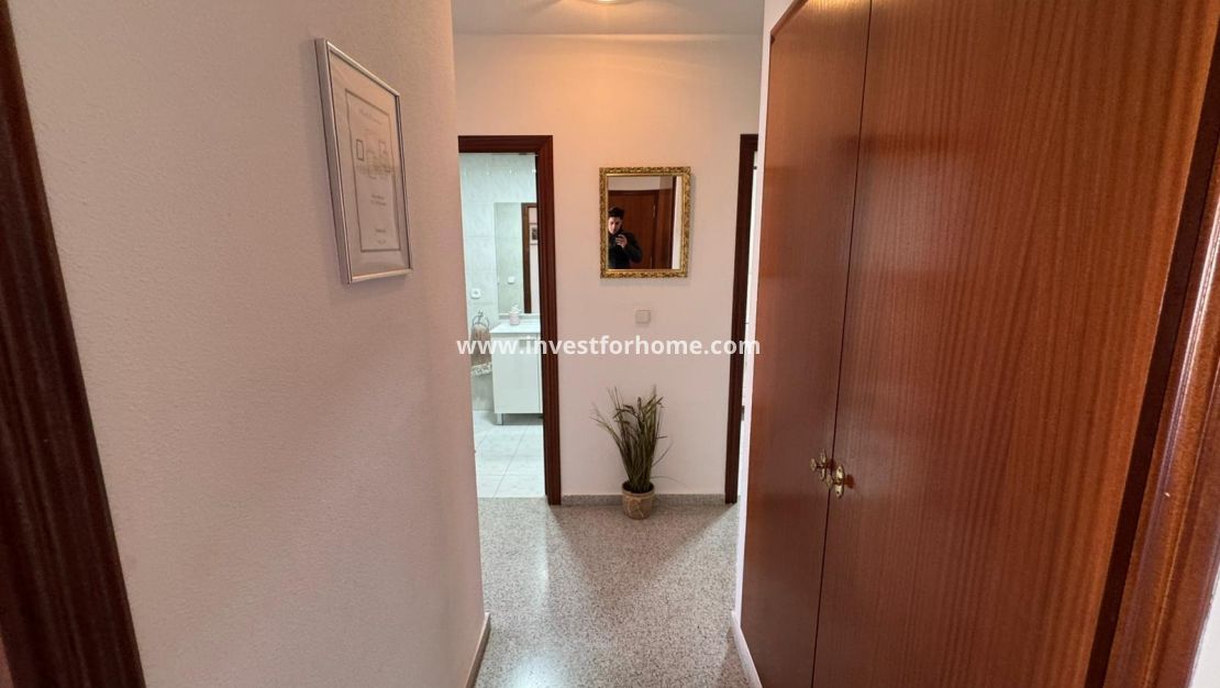 Sale - Apartment - San Miguel de Salinas - Inland