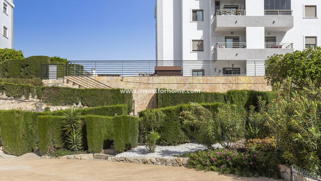 Sale - Apartment - San Miguel de Salinas - Inland