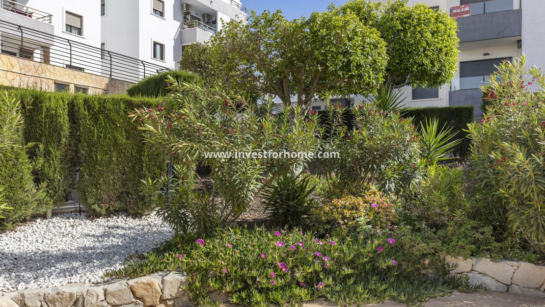 Sale - Apartment - San Miguel de Salinas - Inland