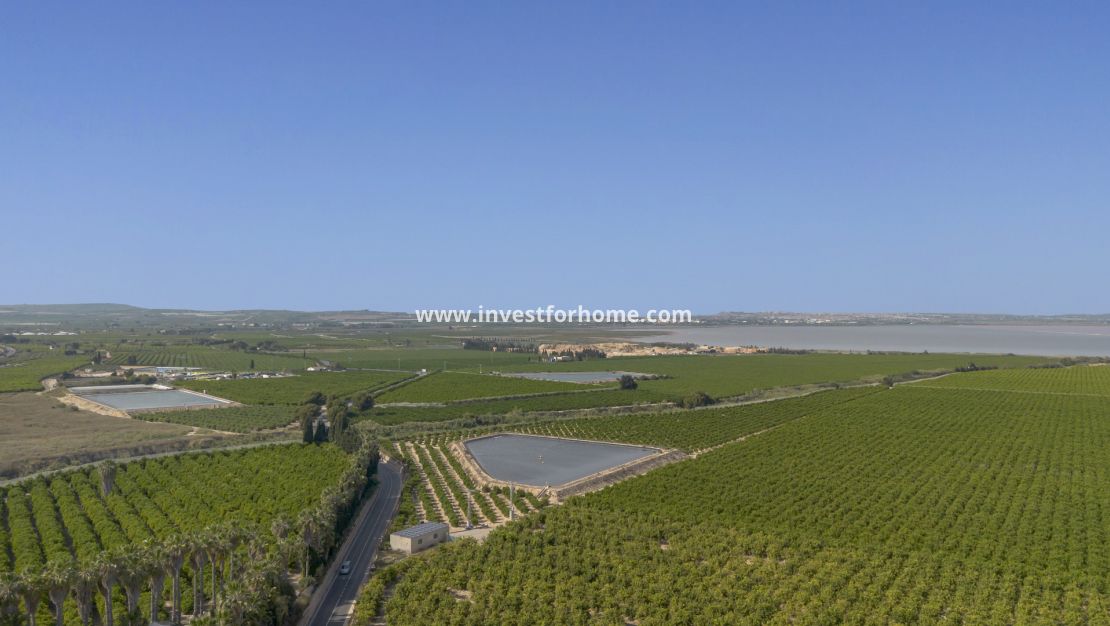 Sale - Apartment - San Miguel de Salinas - Inland