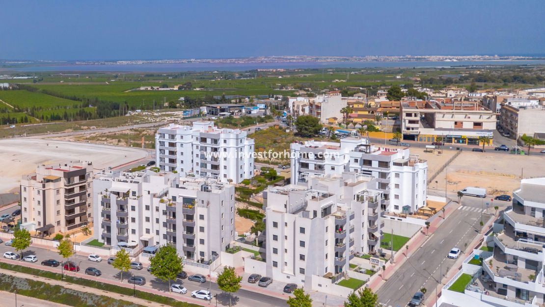 Sale - Apartment - San Miguel de Salinas - Inland