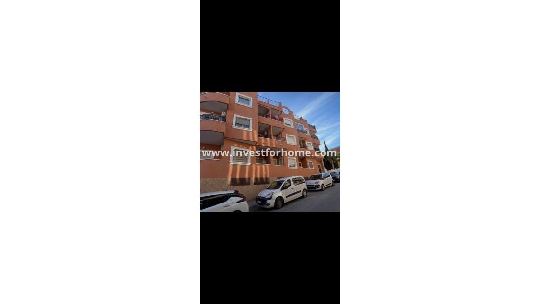 Sale - Apartment - San Miguel de Salinas - Inland