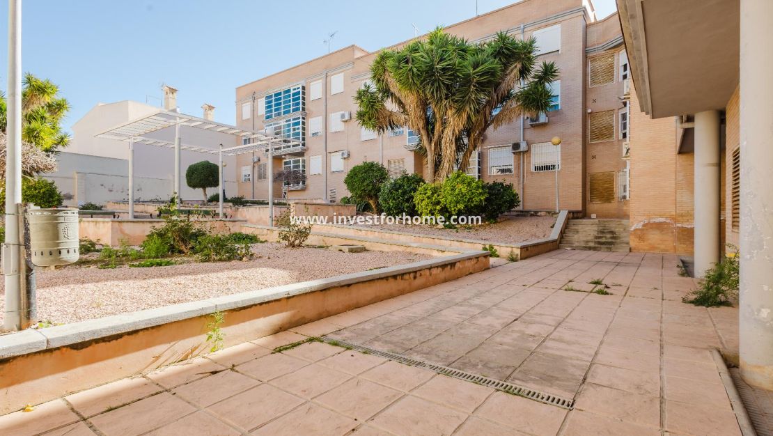Sale - Apartment - San Miguel de Salinas