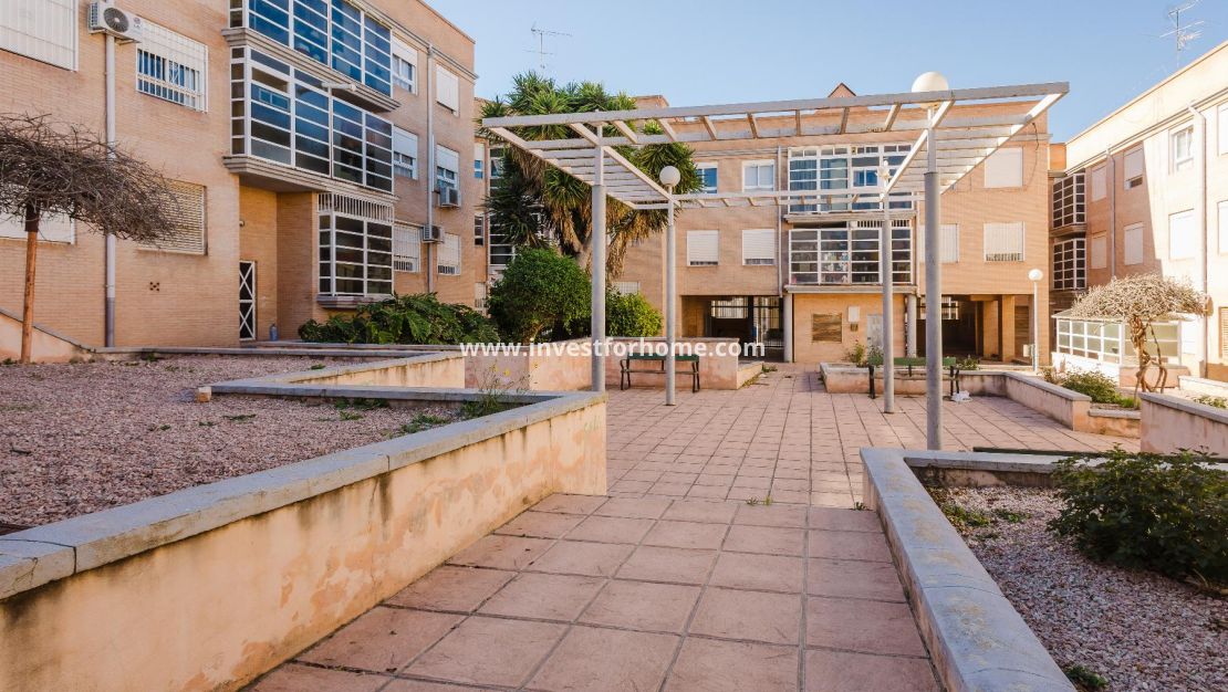 Sale - Apartment - San Miguel de Salinas