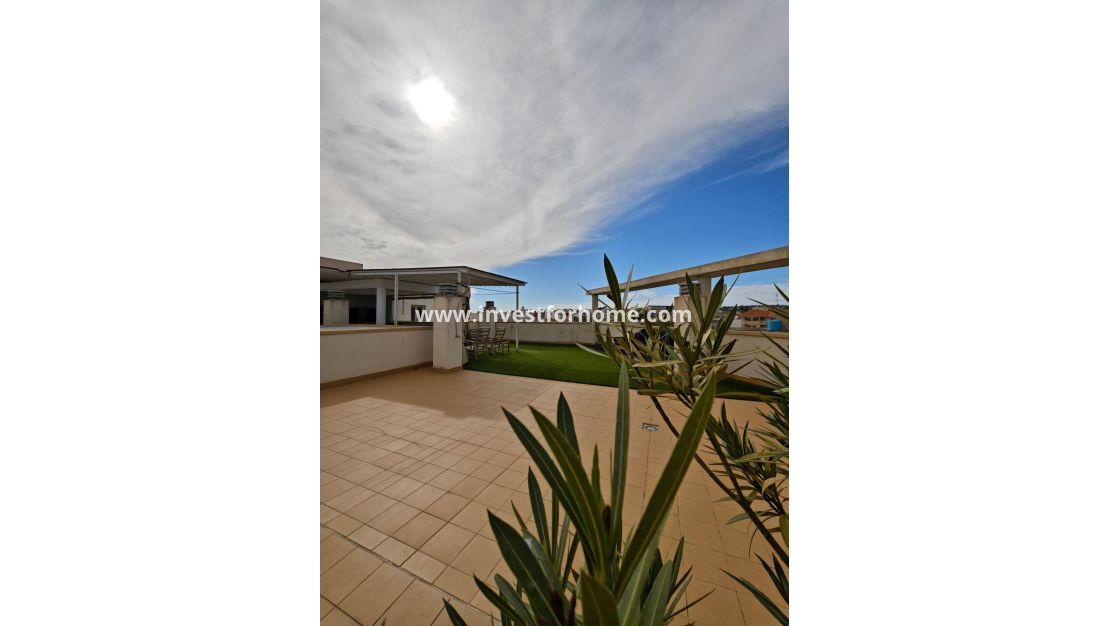 Sale - Apartment - San Miguel de Salinas