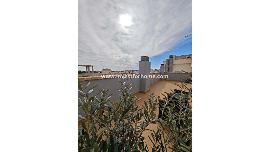 Sale - Apartment - San Miguel de Salinas