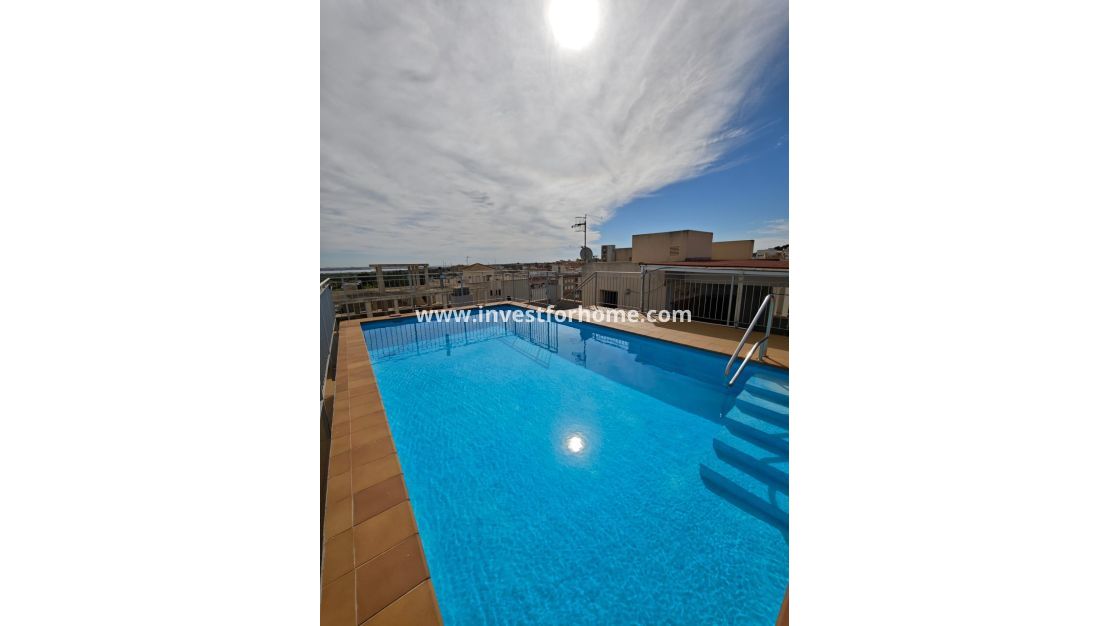 Sale - Apartment - San Miguel de Salinas