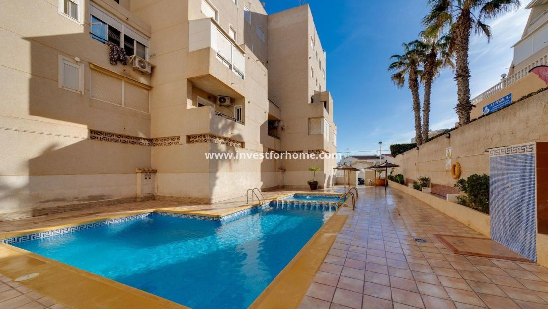 Sale - Apartment - Torrevieja - Cabo Cervera