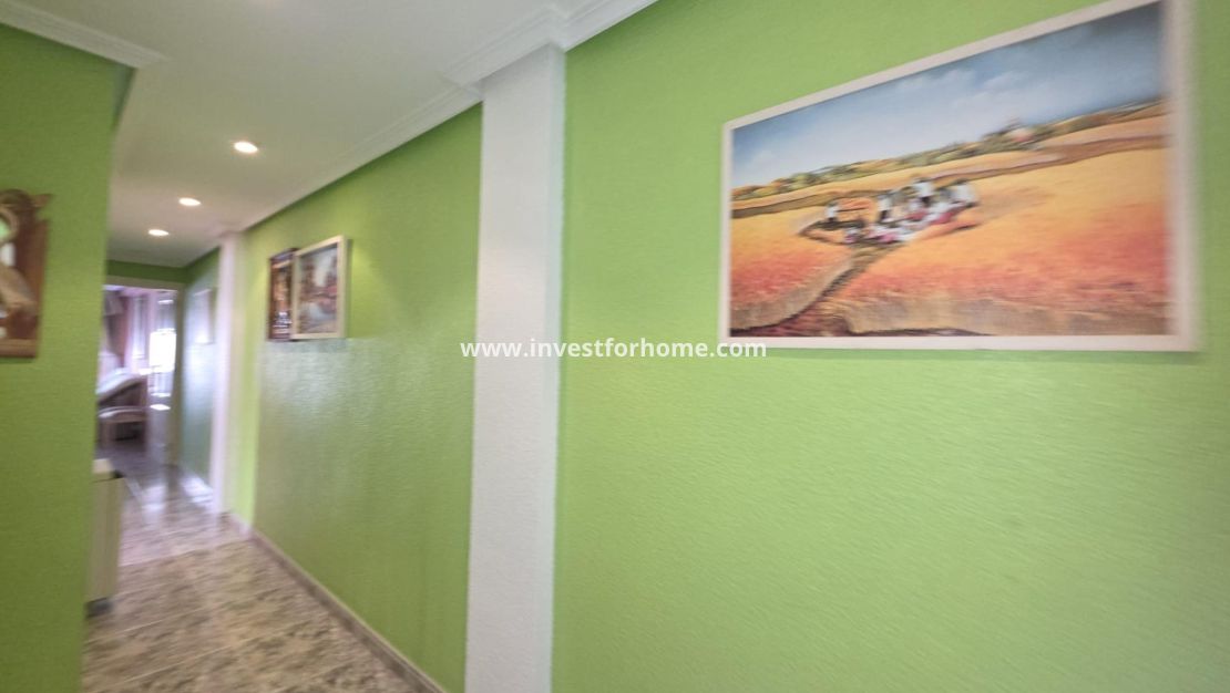 Sale - Apartment - Torrevieja - Centro