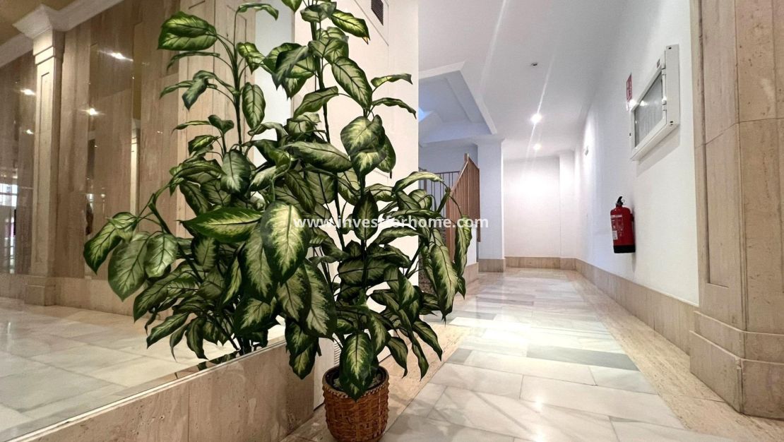 Sale - Apartment - Torrevieja - Centro