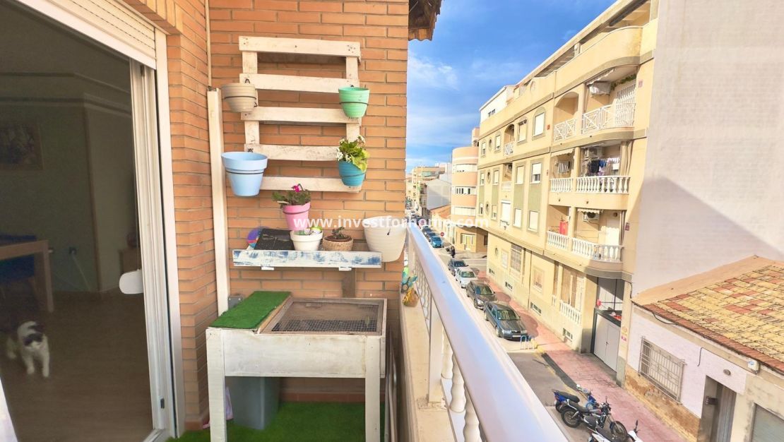 Sale - Apartment - Torrevieja - Centro