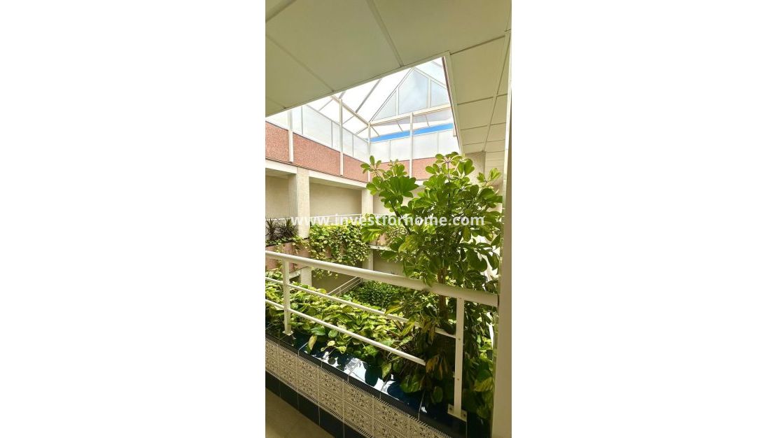 Sale - Apartment - Torrevieja - Centro