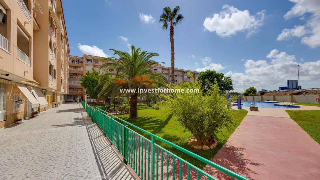 Sale - Apartment - Torrevieja - Centro