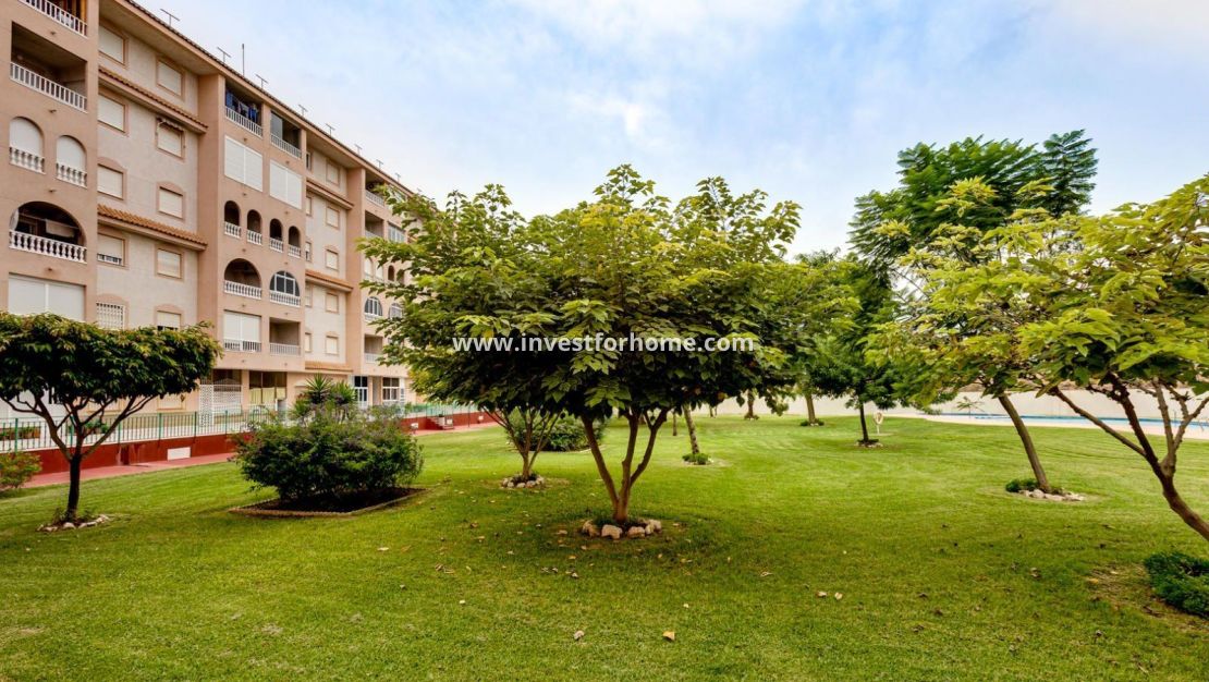 Sale - Apartment - Torrevieja - Centro